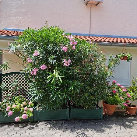 Apartments Zoretic Malinska Zewnętrze zdjęcie